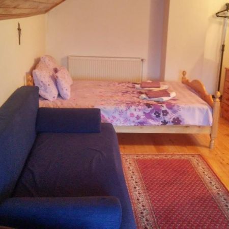ホテル Casa Doina Buşteni エクステリア 写真