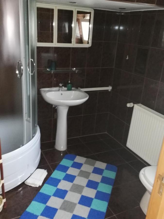 ホテル Casa Doina Buşteni エクステリア 写真