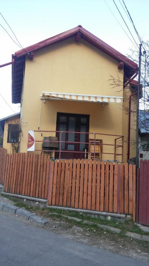 ホテル Casa Doina Buşteni エクステリア 写真