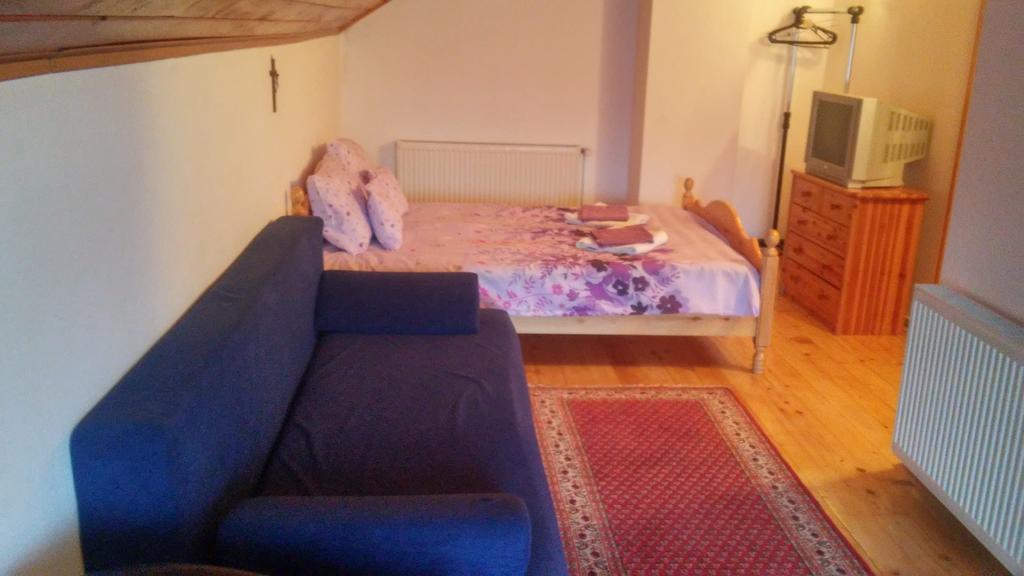 ホテル Casa Doina Buşteni エクステリア 写真